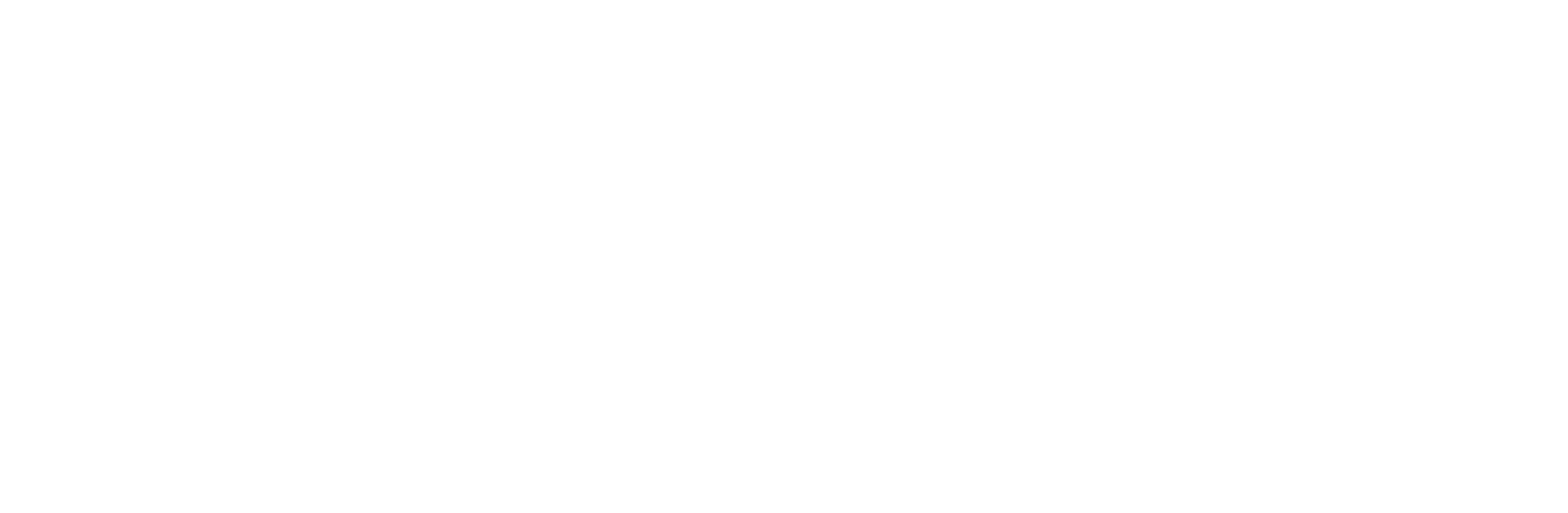 Mines Saint-Étienne Logo